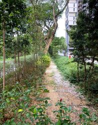 Blk 94 Skyparc @ Dawson (Queenstown), HDB 3 Rooms #519027701